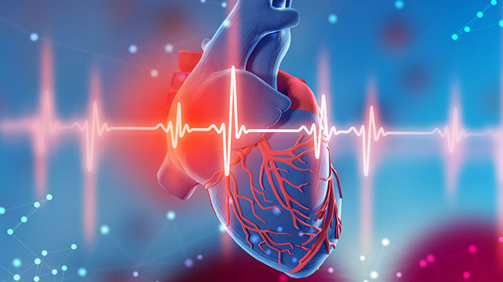 trueheart kalp sağlığı formülü yorumları