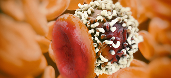 Kanserde kişiye özel tedavi dönemi