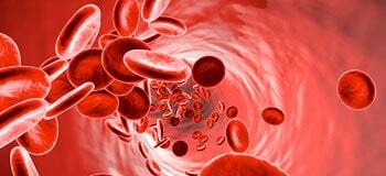 Kan bilimi hematolojiye giriş 101