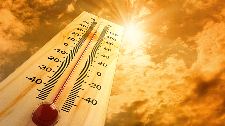 Kavuran aşırı sıcaklara karşı 10 tedbir