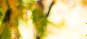 Erkeklerde meme büyümesinin çözümü: Jinekomasti