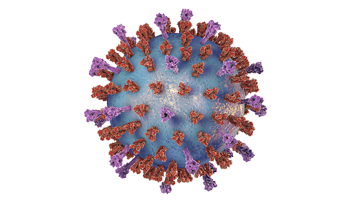 RSV virüsü hayat boyu tekrar edebiliyor