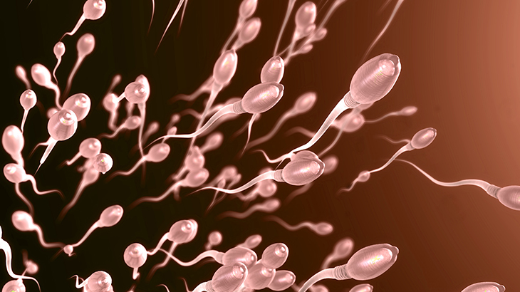 Sperm sayısını azaltan sorunlar