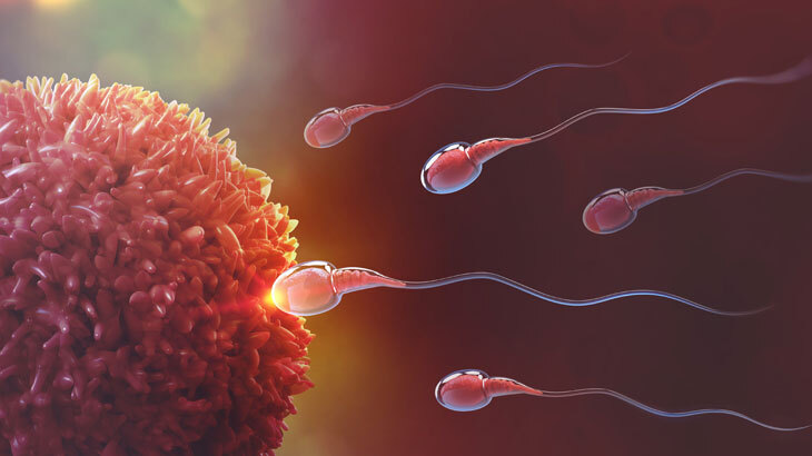 Sperm sayısının azalmasına neden olan 8 önemli sorun