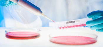 Doğurganlığı korumak için bu kurallara uyun