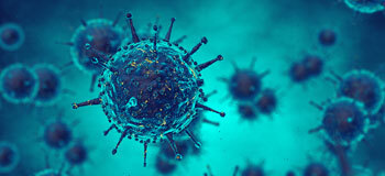 Bakteri ile virüsü ayıran özellikler nelerdir?